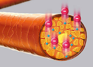 csm magneteffekt 5129b85de6